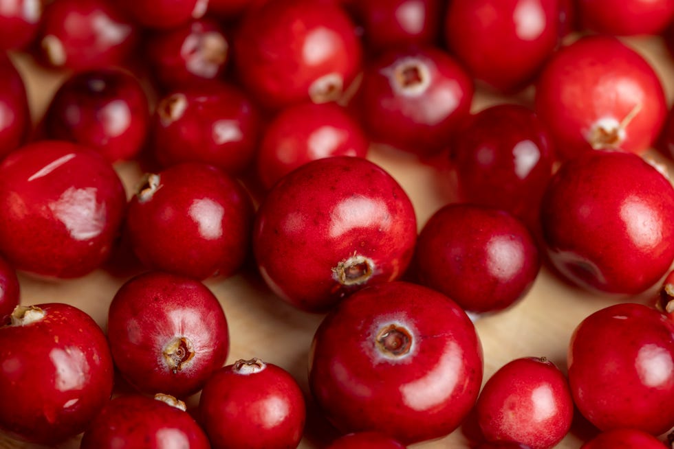 red ripe cranberries harvested in swamps, wild sour cranberries of small size