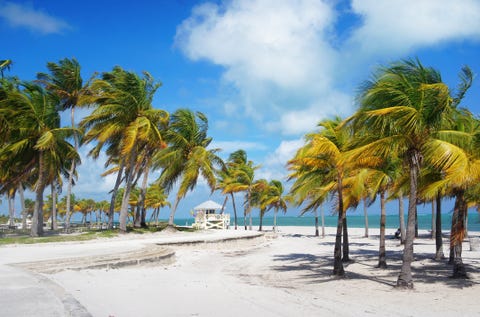 15 Best Beaches in Miami - Most Popular Beaches in Miami