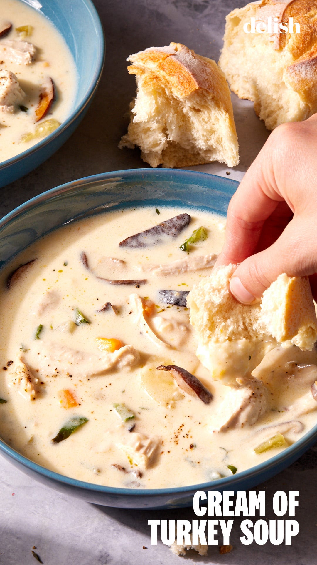 crema de setas con pechuga de pavo