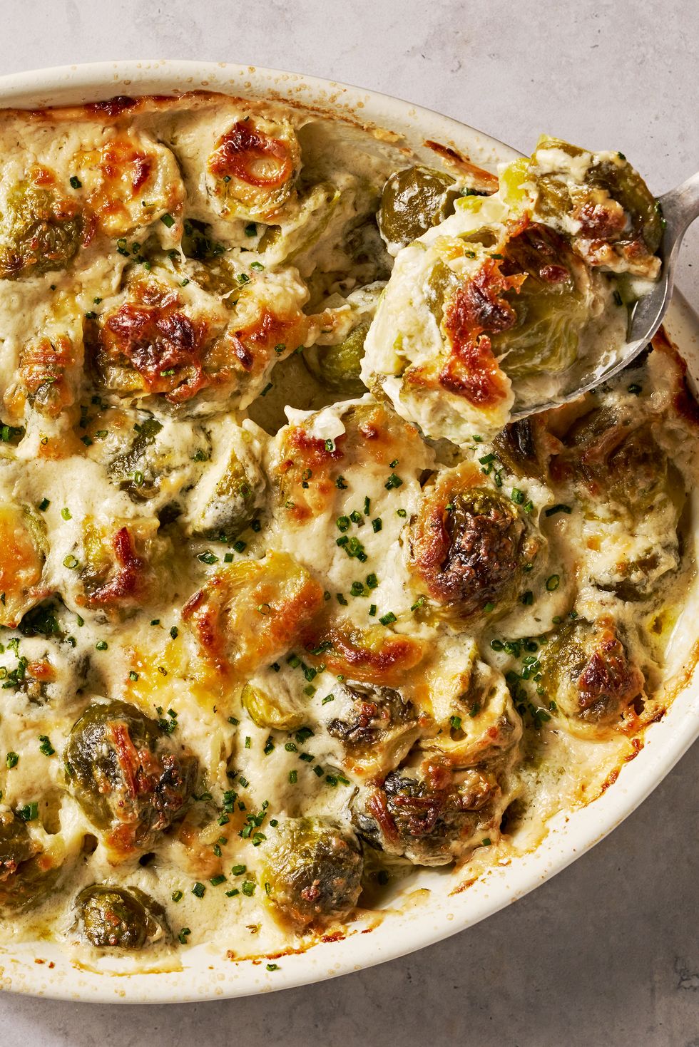 cheesy, bubbling creamed brussels sprouts in a white oval casserole dish
