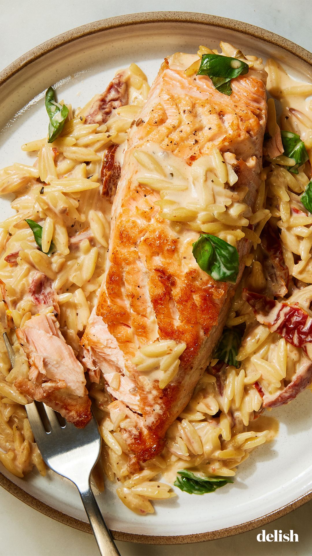 https://hips.hearstapps.com/hmg-prod/images/creamy-sundried-tomato-salmon-and-orzo-pin-64230c7a42277.jpg