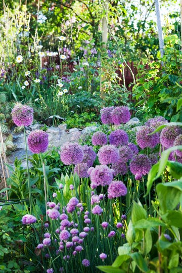 cómo crear un jardín sensorial