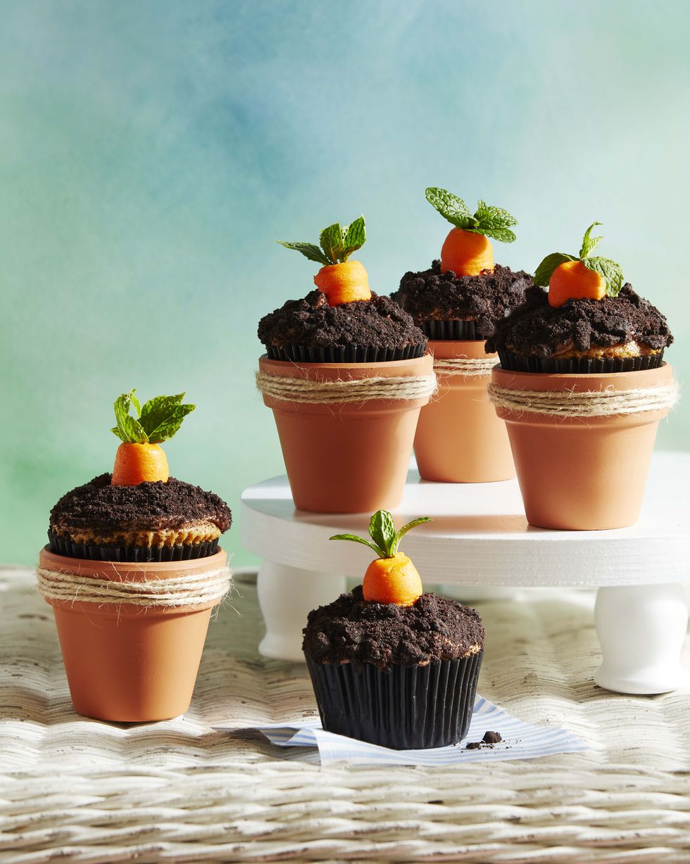 chocolate cupcake with frosting made to look like dirt and a frosting carrot in clay pots