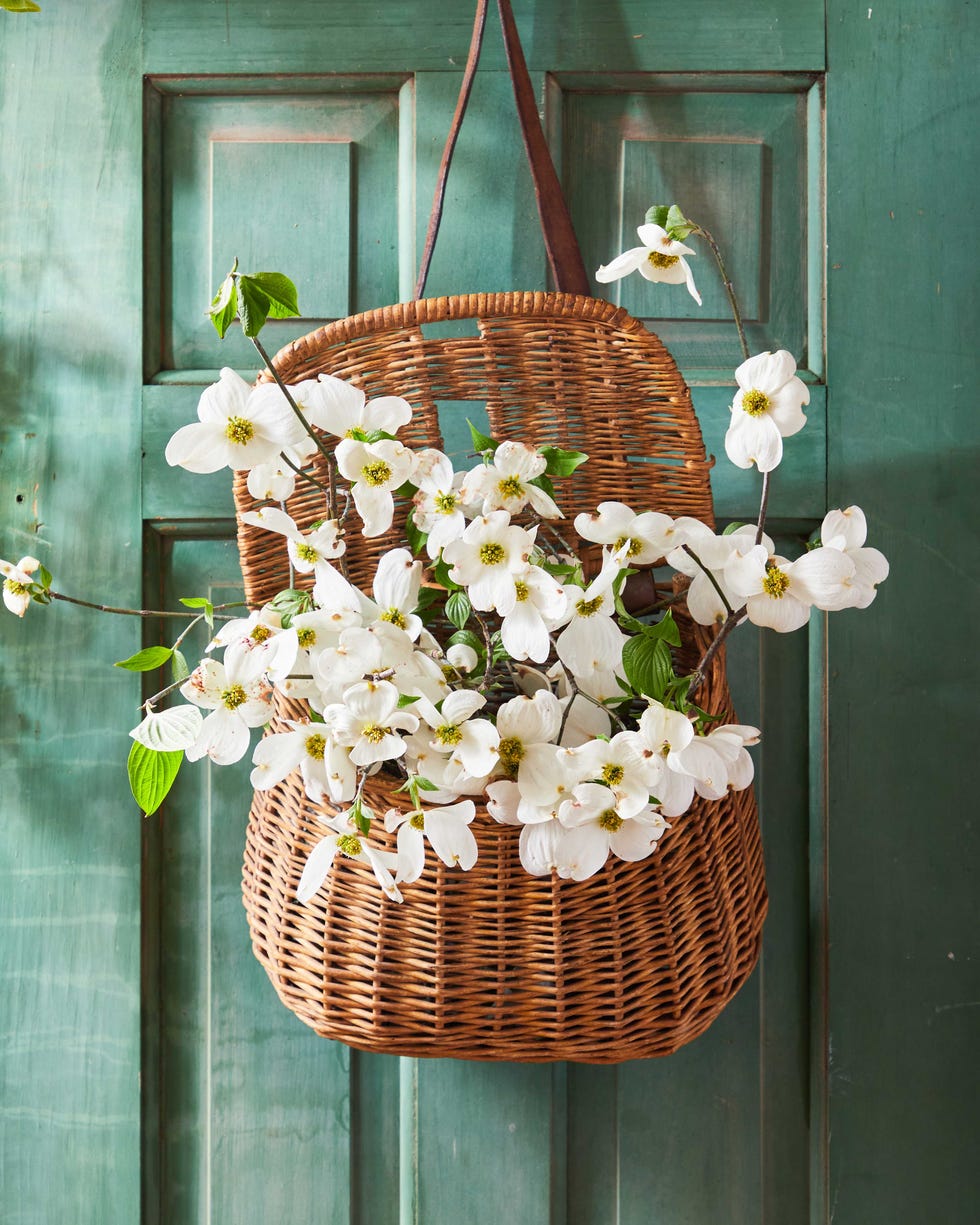 dogwood blooms in a creel basket hung on a green door