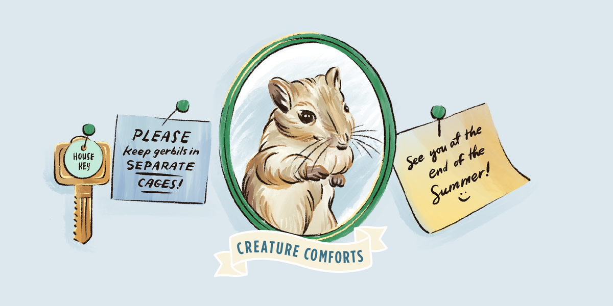 Creature Comforts: The gerbils Next Door