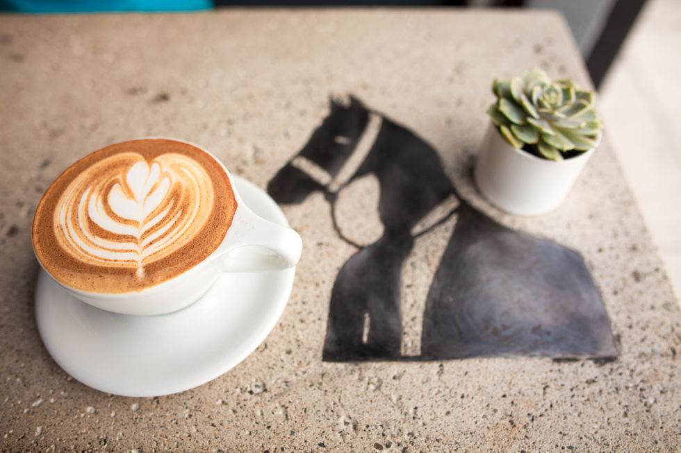 Belogia latte art tool collection