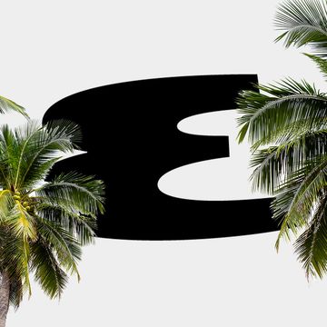 a black shark in between palm trees