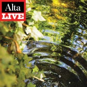 Alta Live: Los Angeles’s Creek Freaks alta live los angeles’s creek freaks