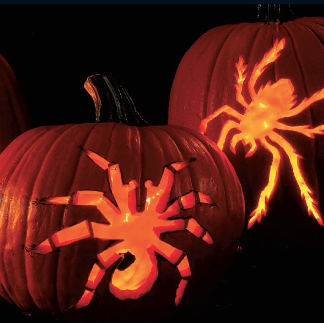 creepy crawly spiders pumpkin