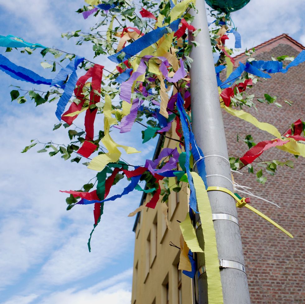 ribbons on birch trees in germany as part of leap year traditions