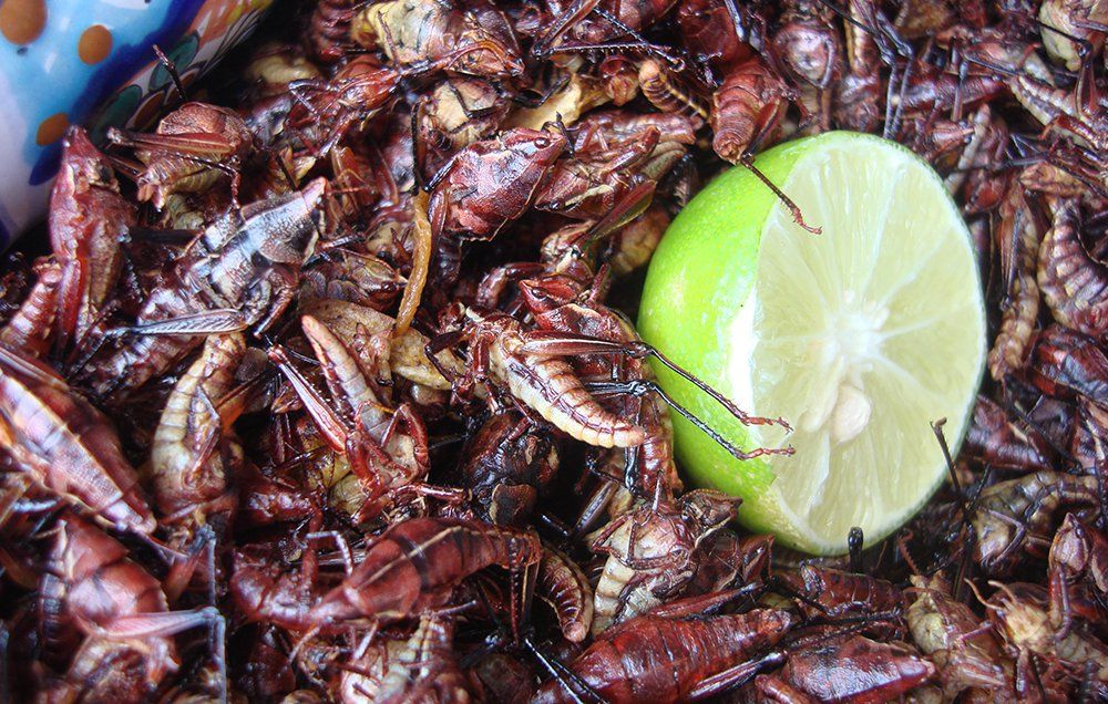 crickets and lime
