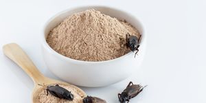 cricket powder insect and pile gryllus bimaculatus for eating as food items made of insect meat in bowl on white background is good source of protein edible for future and entomophagy concept