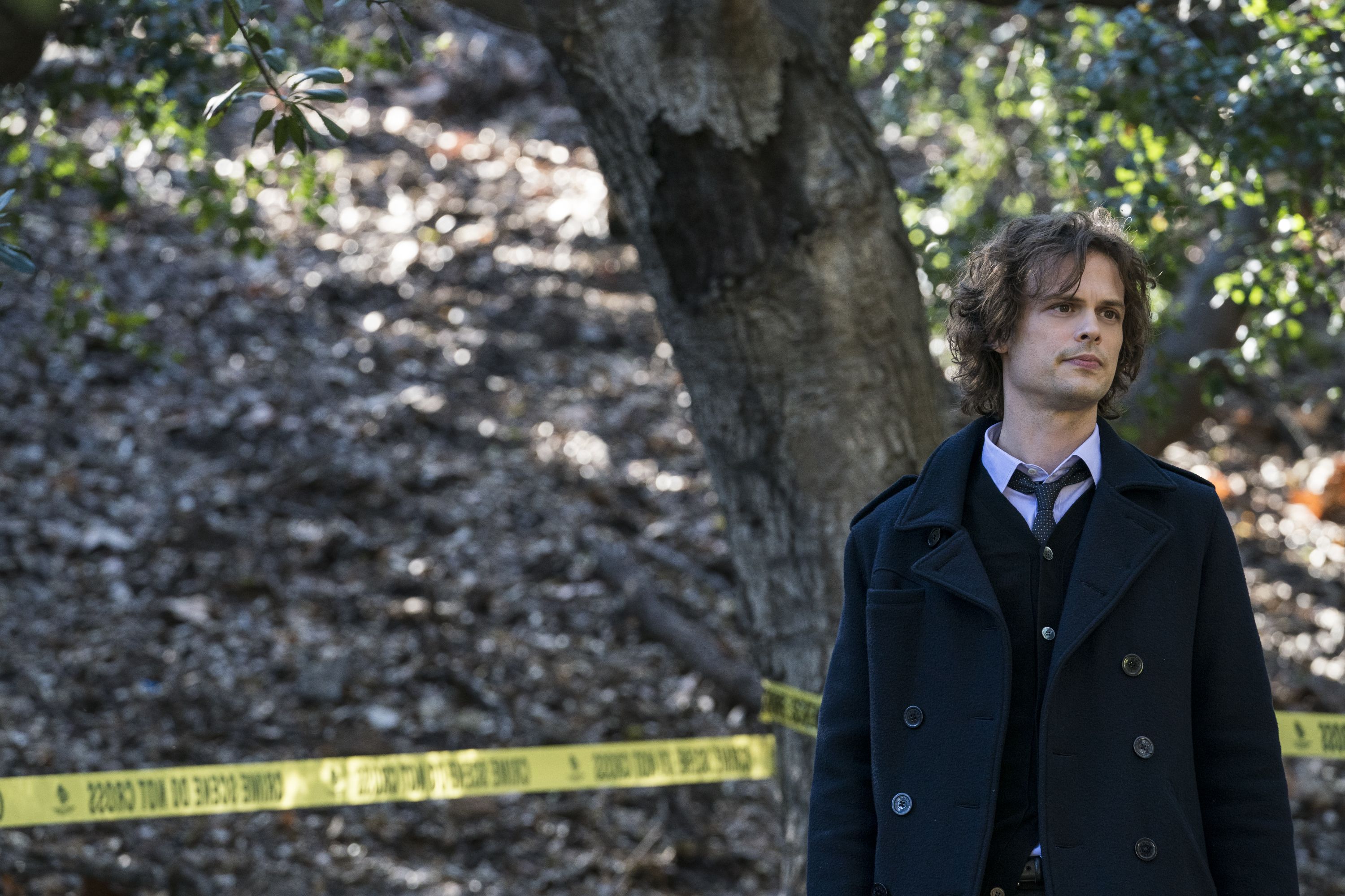 Watch Why Matthew Gray Gubler Lives in a Haunted Tree House, My Stuff