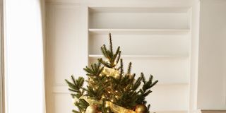 Cristmas tree with golden ornaments closeup