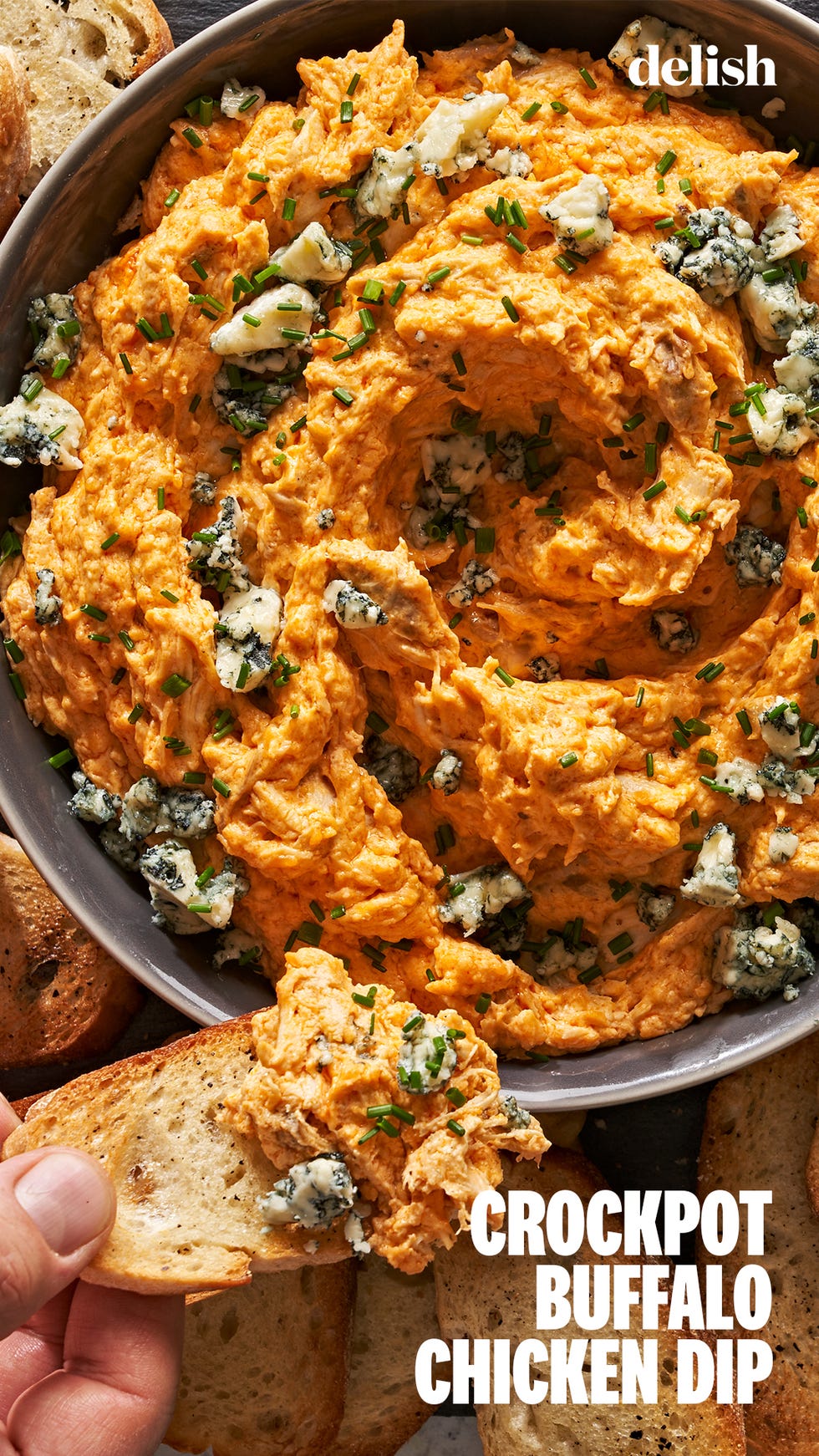 crockpot buffalo chicken dip