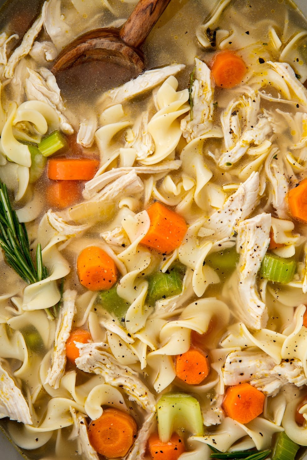 chicken noodle soup in a crockpot