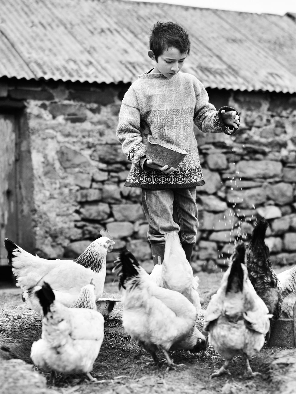 a young boy holding a book and standing in front of a group of chickens