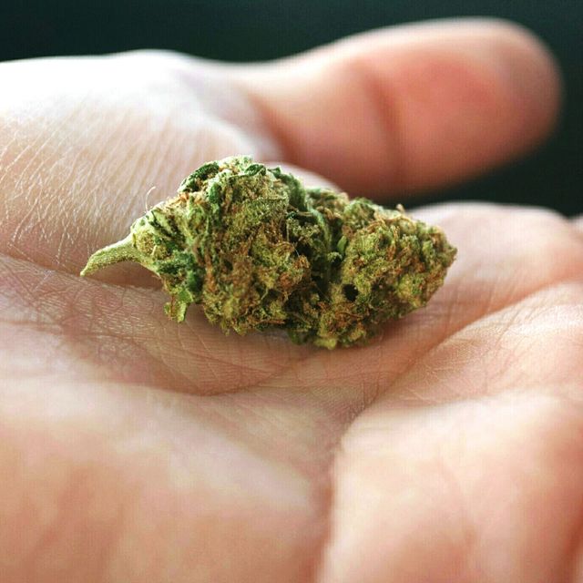 Cropped Hand Of Woman Holding Marijuana