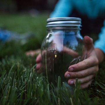 cropped hands of boy holding glass jar with firefly on grassy field