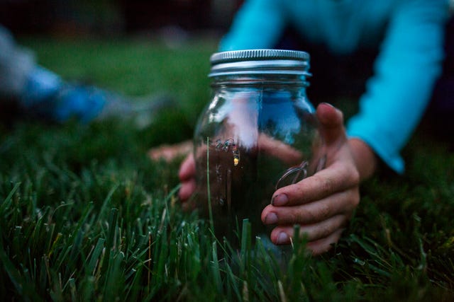 cropped hands of boy holding glass jar with firefly on grassy field