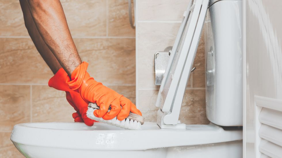 toilet bowl cleaning, hand with orange gloves scrubbing the toilet