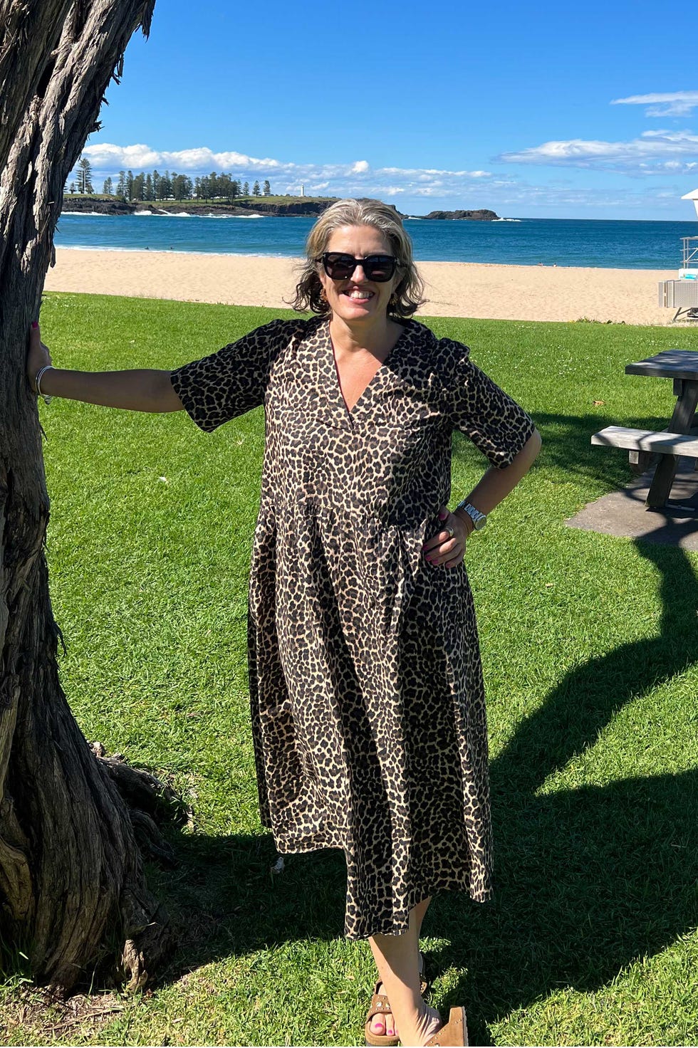 albaray leopard print dress