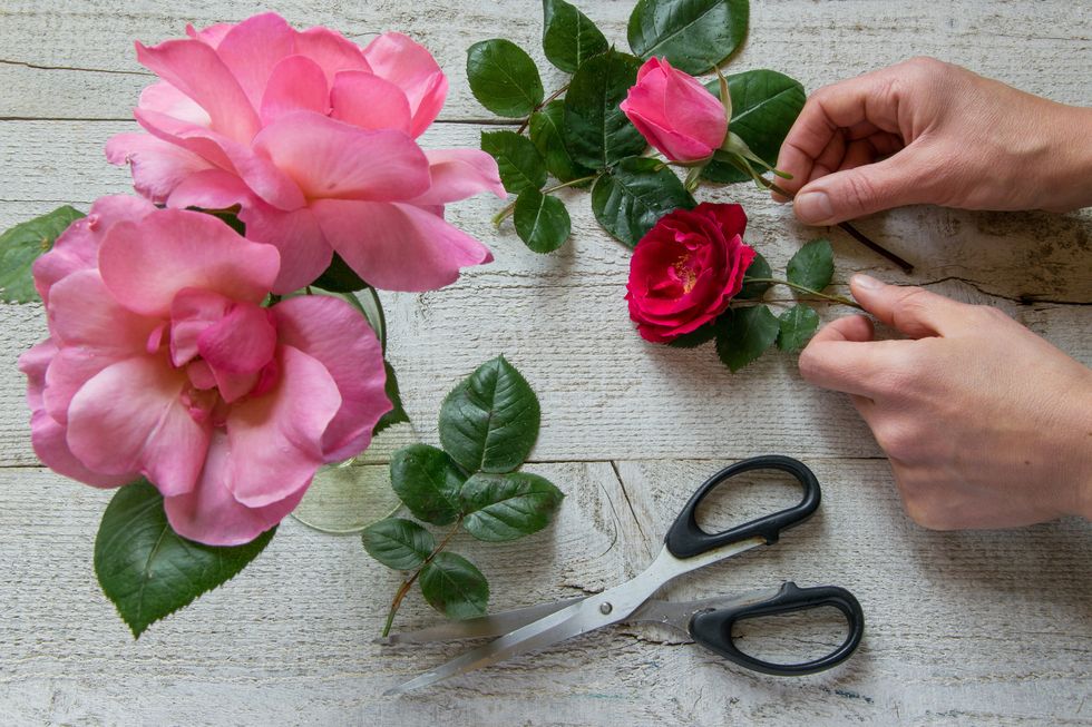 cropped image of florist holding rose with flowers on table