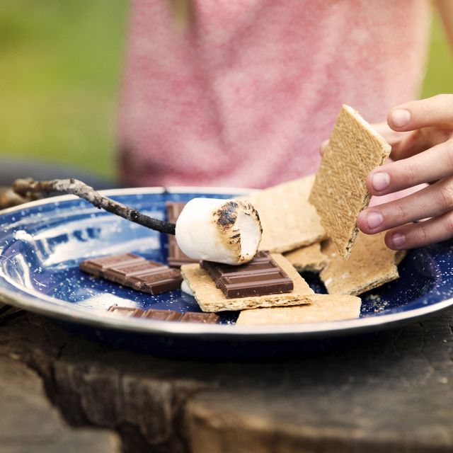 Cropped image of girl preparing smores in plate on tree stump