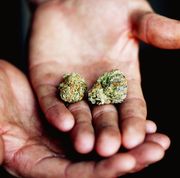 Cropped Image Of Hands Holding Marijuana