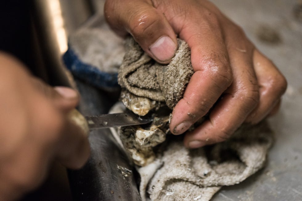 cropped image of person shucking oyster on table