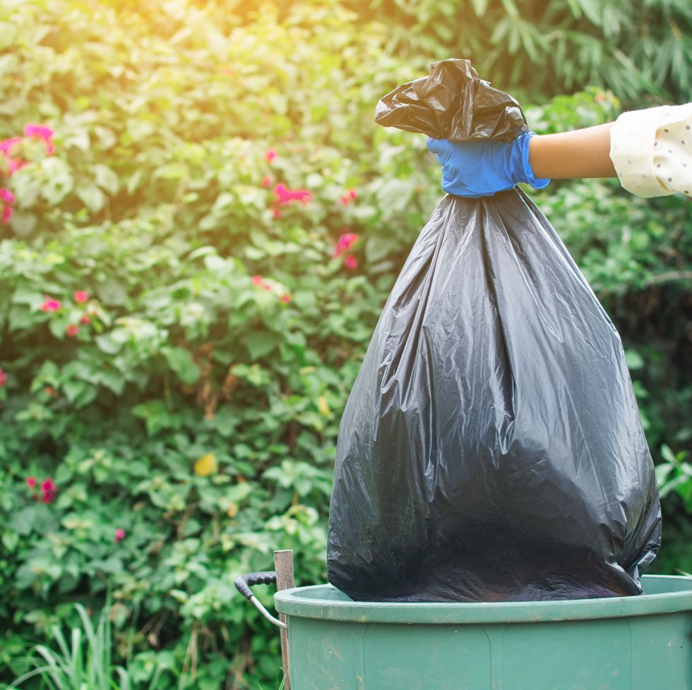 cropped image of volunteer holding garbage bag over can against trees