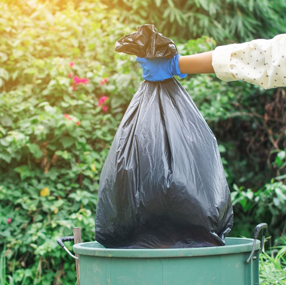 cropped image of volunteer holding garbage bag over can against trees