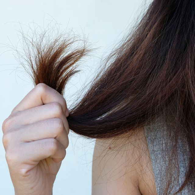 cropped image of woman holding hair