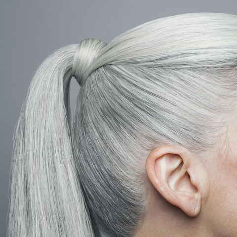 cropped shot of grey haired ponytail, profile