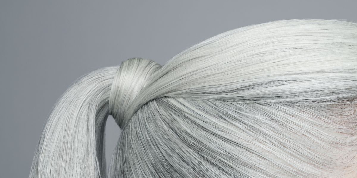 cropped shot of grey haired ponytail profile royalty free image