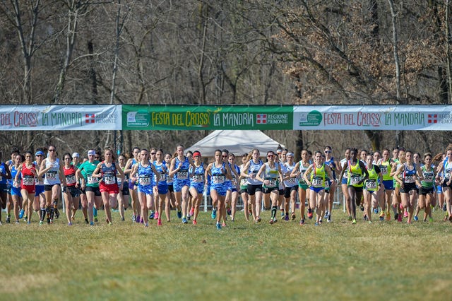 parco della mandria, venaria, torino, italy 10th march, 2019 festa del cross 2019   campionati italiani di corsa campestre damiano benedetto staff photographer