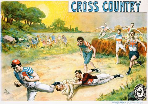 Cross Country Poster by Candido de Faria