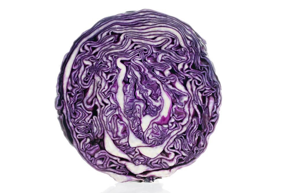 cross section of a red cabbage