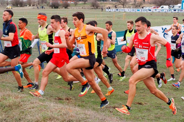 cross internacional de valladolid