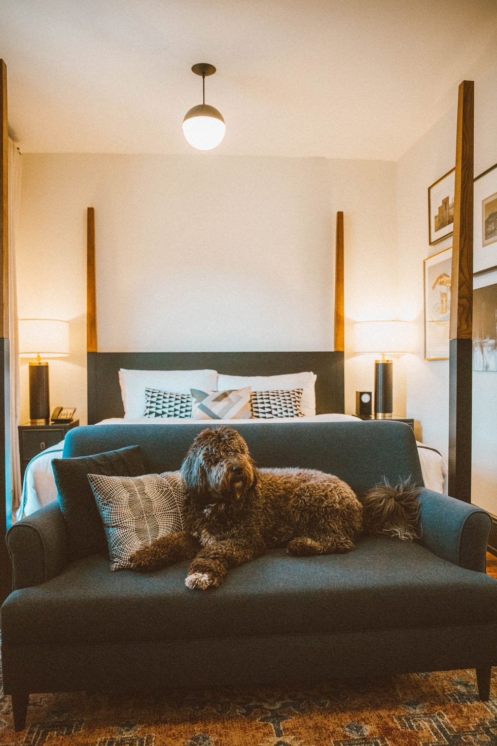 37 Best Dog-Friendly Luxury Hotels in the U.S.