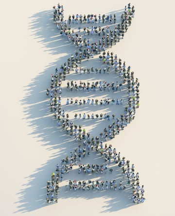 crowd forming dna model