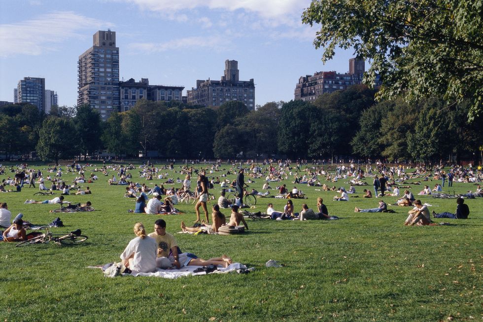 crowd relaxing on great lawn in central park