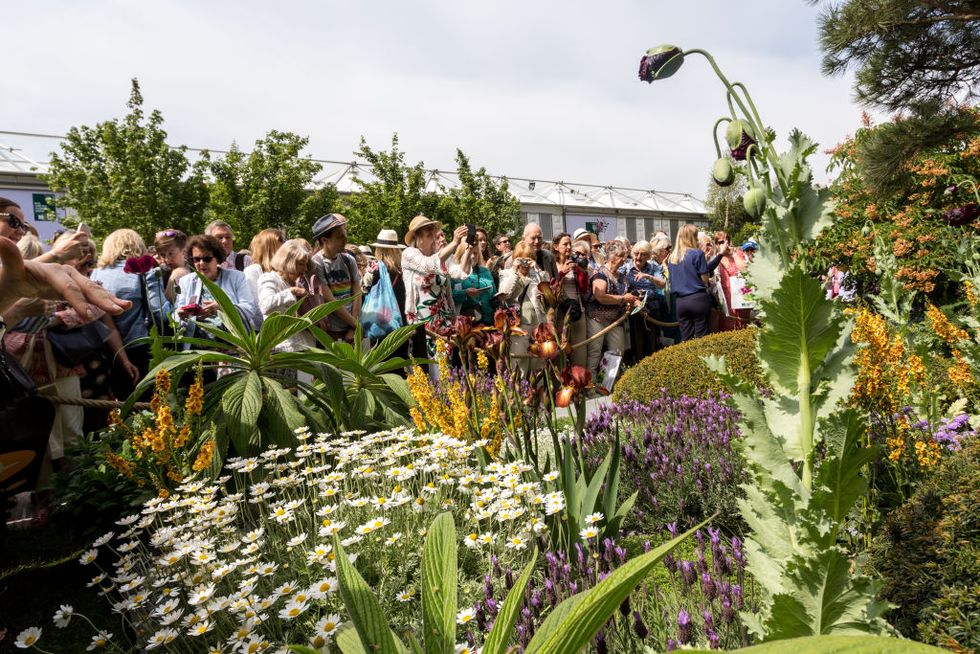 Crowds Visit Chelsea Flower Show In London