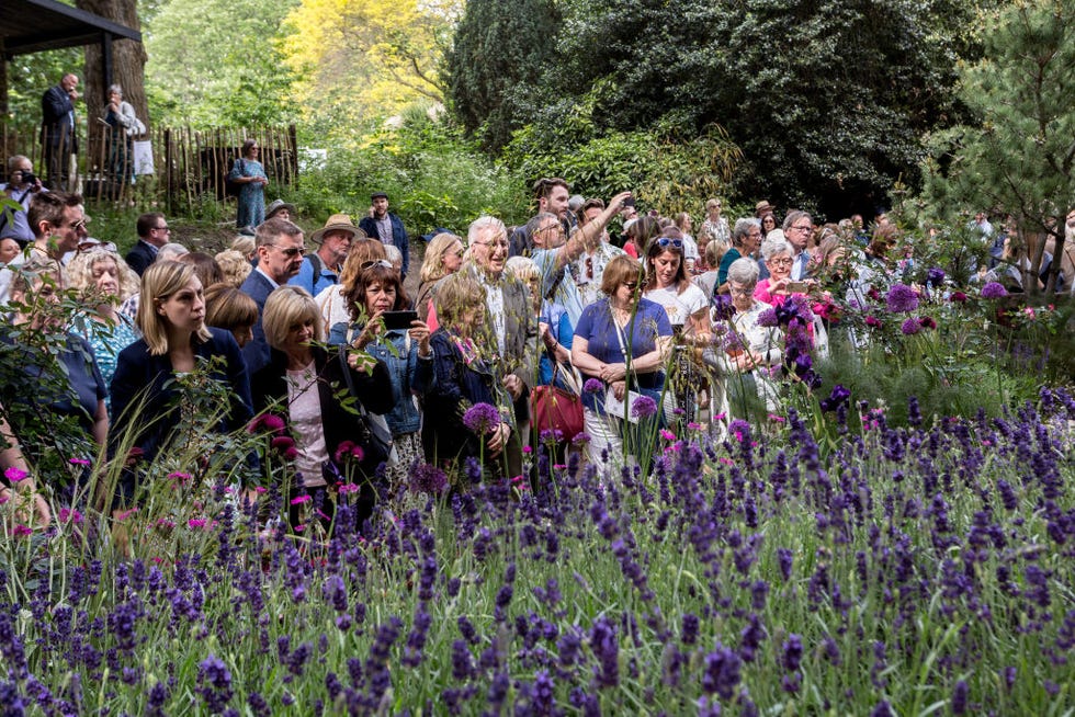 Virtual Chelsea flower show online 2020