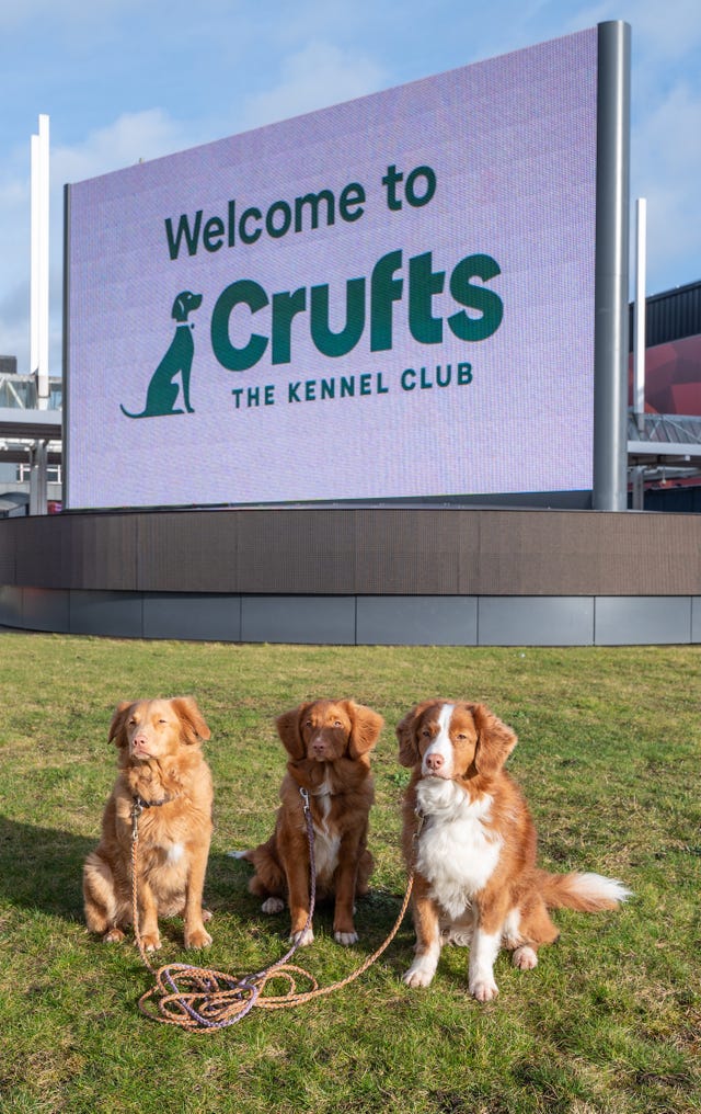 Crufts 2024 How To Watch Crufts On TV — Full Crufts Schedule