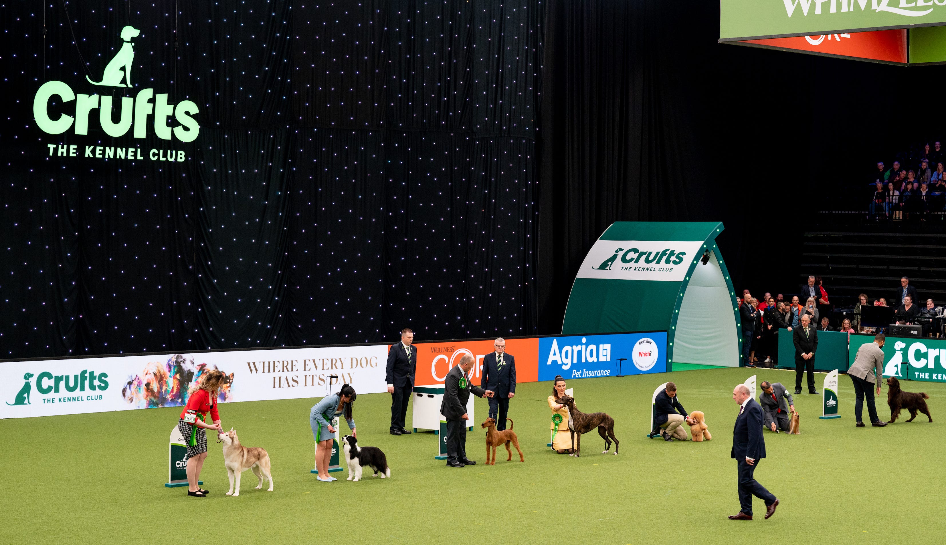 what day is hound day at crufts