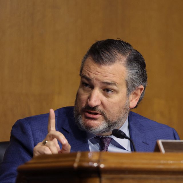 senator ted cruz, r tx, questions us attorney general merrick garland during a senate judiciary committee hearing examining the department of justice on capitol hill in washington, dc october 27, 2021 photo by tasos katopodis  pool  afp photo by tasos katopodispoolafp via getty images