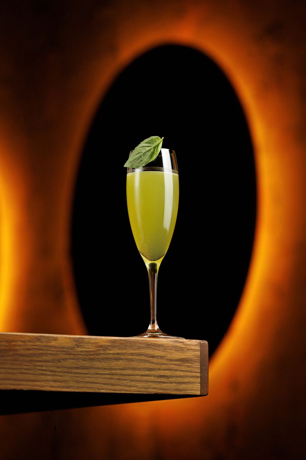 a cocktail framed in light
