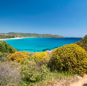 crystal clear water white sand at porto giunco beach, villasimius