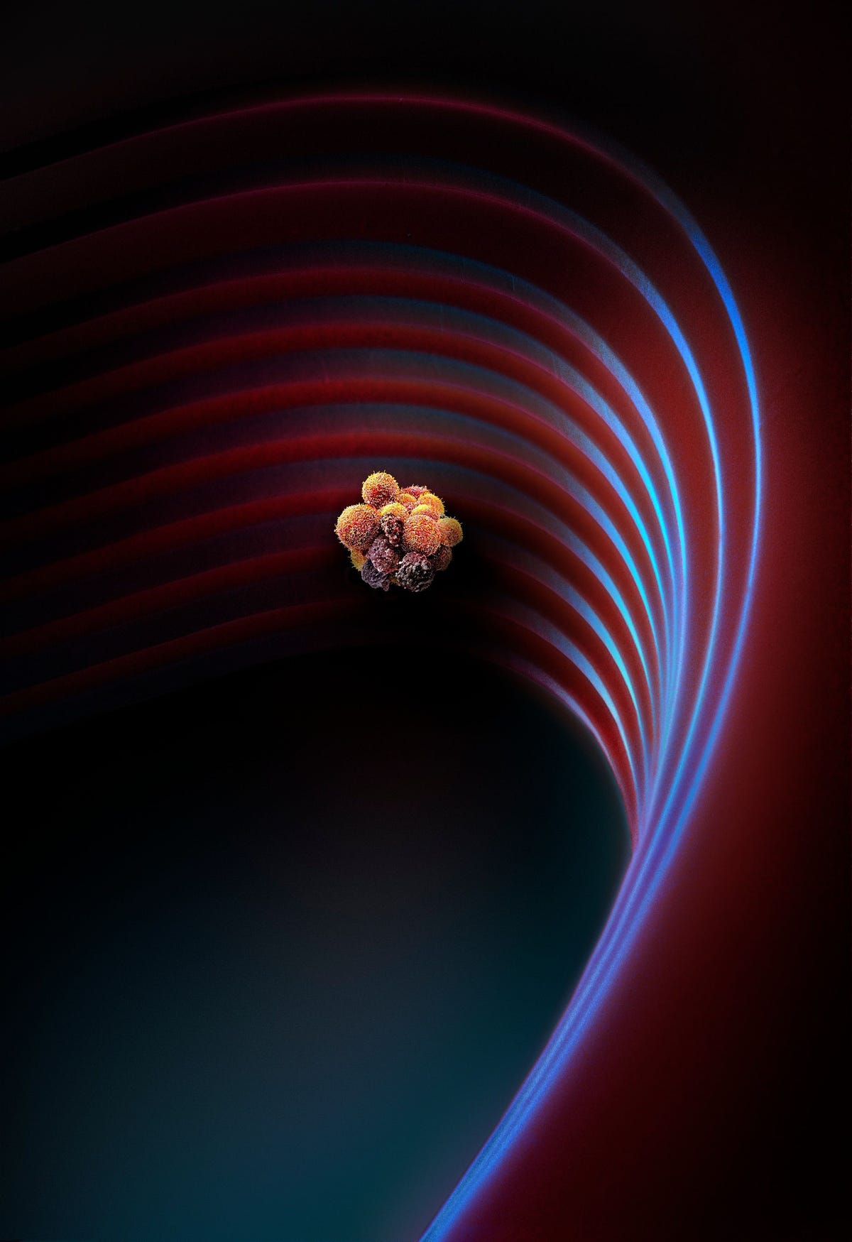 Op deze scan van een elektronenmicroscoop is een cluster van circulerende tumorcellen CTCs te zien in een microfludisch filter dat wordt gebruikt voor het analyseren van bloedmonsters Alle cellen zijn afkomstig van n en dezelfde patint Clusters van uitgezaaide cellen die kleiner zijn dan een punt in een krantenartikel zweven in het bloed rond en worden opgenomen door gezond weefsel zodat de kanker zich kan verspreiden